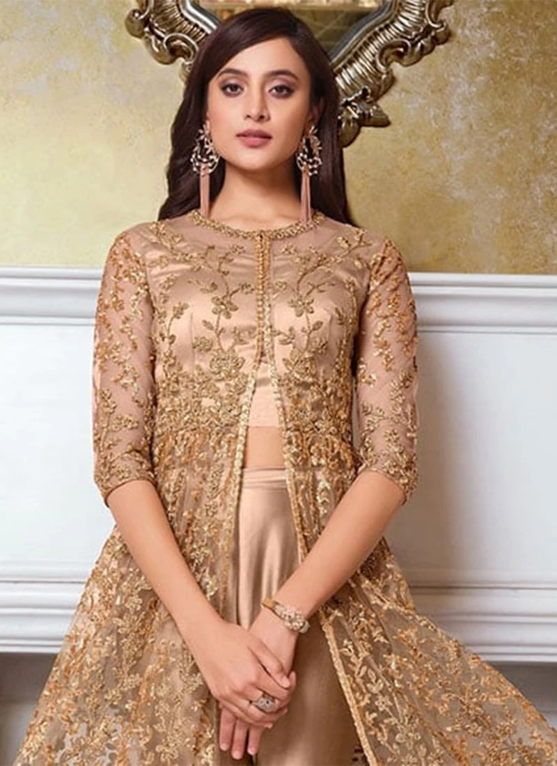 Beige Net Anarkali Suit Party Wear Party Wear 4 Beige Net Anarkali Suit Party Wear Party Wear - Image 4