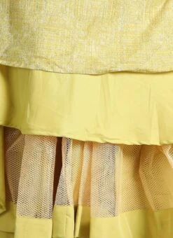 Ethnovog Crop Top N Skirt Party Wear -C Bazaar Shop Bollywood Vogue Customised Crop Top N Skirt IWBV01904098 rrc1