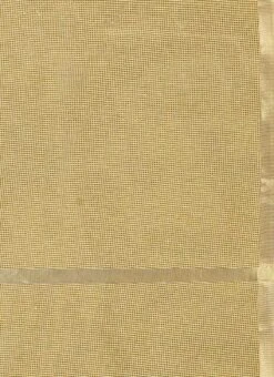 Cream Art Tussar Silk Dupatta After Six Wear -C Bazaar Shop Cream Art Tussar Silk Dupatta DPVATA921TASA b