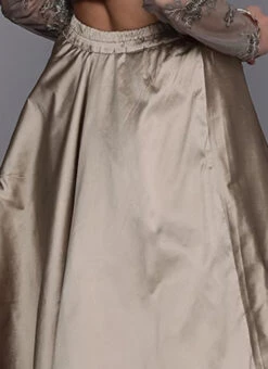 Dusty Gold Taffeta Skirt Festive Wear -C Bazaar Shop Dusty Gold Taffeta Skirt WBBS02307549 rrc2