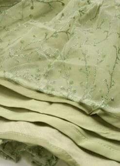 Green Embroidered Net Corset Style Dress Party Wear -C Bazaar Shop Green Embroidered Net Corset Style Dress DRBS02301105 rrc4