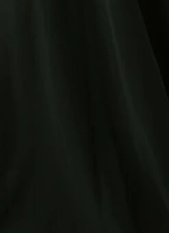 Green Georgette Embroidered Dress Festive Wear -C Bazaar Shop Green Georgette Embroidered Dress DRBS02212609 rrc4