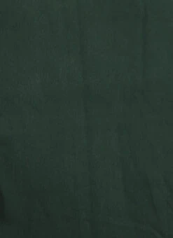 Green Georgette Pleated Ruffle Saree Festive Wear -C Bazaar Shop Green Georgette Pleated Ruffle Saree SABS02301091 rrc2