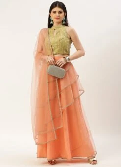 Dupatta From Green Georgette Sequins N Peach Net Lehenga After Six Wear 10 Dupatta From Green Georgette Sequins N Peach Net Lehenga After Six Wear -C Bazaar Shop Green Georgette Sequins N Peach Net Lehenga GHBS02210904 u