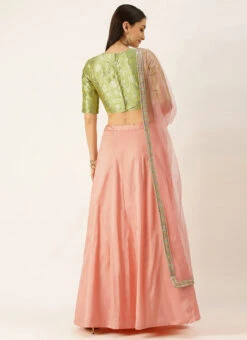 Green N Peach Taffeta Kali Lehenga Festive Wear -C Bazaar Shop Green N Peach Taffeta Kali lehenga GHBS02105389 b