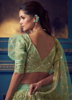 Green Net Umbrella Lehenga Party Wear -C Bazaar Shop Green Net Umbrella Lehenga GHSCC40824108 b