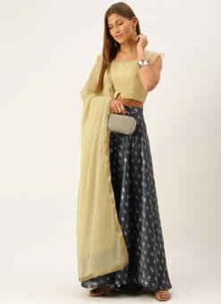 Grey N Beige Ruffled Arm Lehenga Set Festive Wear -C Bazaar Shop Grey N Beige Ruffled Arm Lehenga Set GHBS02110962 u
