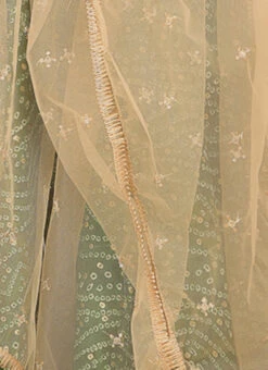 Dupatta From Kids Girls Green Bandhani Printed Rayon Gown With Dupatta Set After Six Wear -C Bazaar Shop Kids Girls Green Bandhani Printed Rayon Gown With Dupatta Set KDGIWBS02302294 rrc4