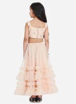 Dupatta From Kids Girls Light Peach Net Sequins Embroidered Lehenga After Six Wear 9 Dupatta From Kids Girls Light Peach Net Sequins Embroidered Lehenga After Six Wear -C Bazaar Shop Kids Girls Light Peach Net Sequins Embroidered Lehenga KDGGHBS02212521 b
