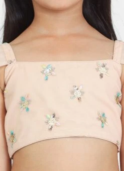 Skirt From Kids Girls Light Peach Net Sequins Embroidered Lehenga After Six Wear -C Bazaar Shop Kids Girls Light Peach Net Sequins Embroidered Lehenga KDGGHBS02212521 rrc1 1