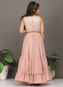 Skirt From Kids Girls Pink Embroidered Crop Top N Skirt After Six Wear -C Bazaar Shop Kids Girls Pink Embroidered Crop Top N Skirt KDGIWBS02303890 b