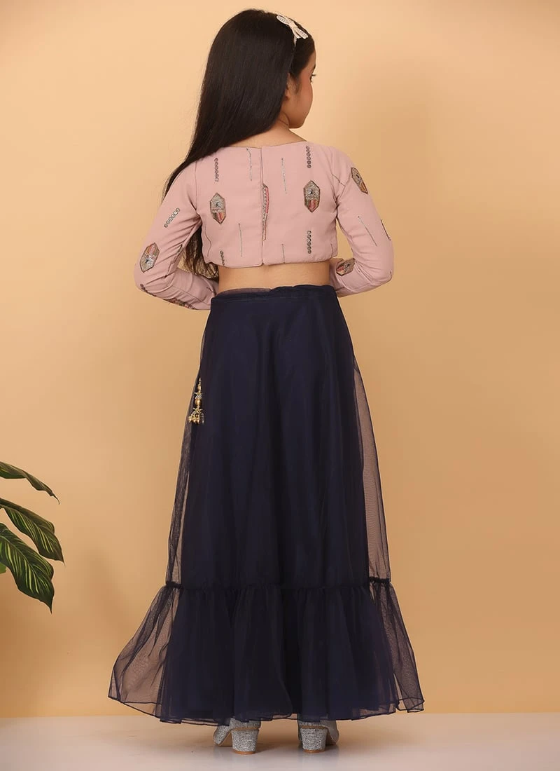 Skirt From Kids Girls Pink Embroidered Georgette N Blue Net Lehenga After Six Wear 3 Skirt From Kids Girls Pink Embroidered Georgette N Blue Net Lehenga After Six Wear - Image 3