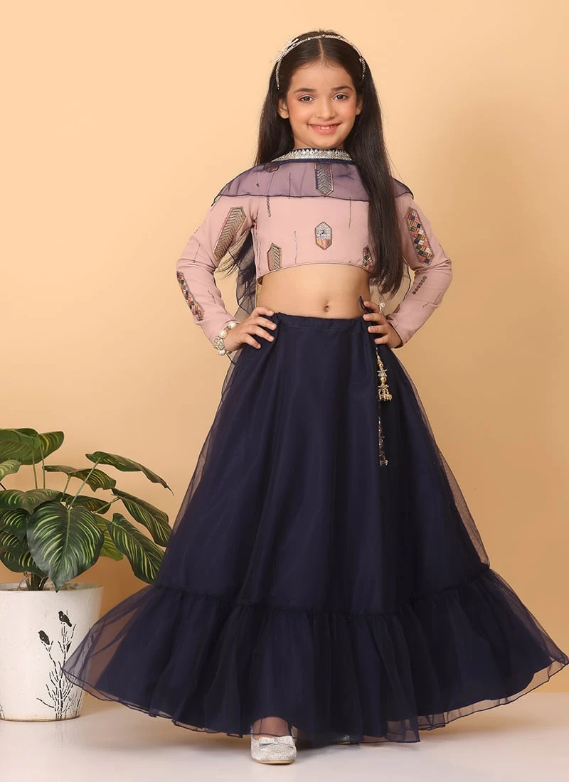 Skirt From Kids Girls Pink Embroidered Georgette N Blue Net Lehenga After Six Wear 2 Skirt From Kids Girls Pink Embroidered Georgette N Blue Net Lehenga After Six Wear - Image 2