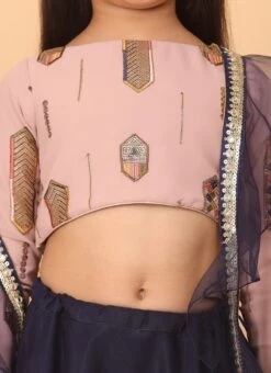 Skirt From Kids Girls Pink Embroidered Georgette N Blue Net Lehenga After Six Wear 10 Skirt From Kids Girls Pink Embroidered Georgette N Blue Net Lehenga After Six Wear -C Bazaar Shop Kids Girls Pink Embroidered Georgette N Blue Net Lehenga KDGGHBS02302285 rrc1