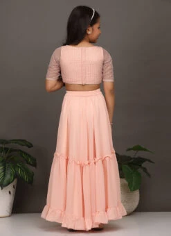 Skirt From Kids Girls Pink N Peach Embroidered Crop Top N Skirt After Six Wear -C Bazaar Shop Kids Girls Pink N Peach Embroidered Crop Top N Skirt KDGIWBS02303724 b
