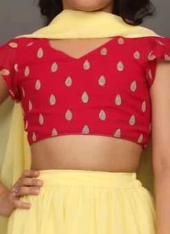 Dupatta From Kids Girls Pink N Yellow Embroidered Ruffles Lehenga Set After Six Wear -C Bazaar Shop Kids Girls Pink N Yellow Embroidered Ruffles Lehenga Set KDGGHBS02303712 rrc1 1