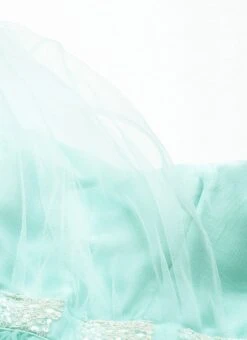 Skirt From Light Sea Green Net Skirt Set After Six Wear -C Bazaar Shop Light Sea Green Net Skirt Set IWBS02212470 rrc1