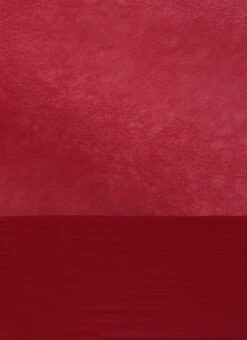 Maroon Georgette Sequins Half N Half Sari Festive Wear 15 Maroon Georgette Sequins Half N Half Sari Festive Wear -C Bazaar Shop Maroon Georgette Sequins Half N Half Sari SABS02302376 rrc4