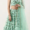 Skirt From Mint Green Georgette Digital Printed Lehenga After Six Wear