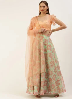 Dupatta From Multicolored Organza Embroidered Lehenga Set After Six Wear -C Bazaar Shop Multicolored Organza Embroidered Lehenga Set GHBS02210964 u