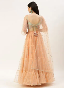 Dupatta From Multicoloured N Peach Net Embroidered Lehenga After Six Wear -C Bazaar Shop Multicoloured N Peach Net Embroidered Lehenga GHBS02211103 b