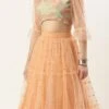 Skirt From Multicoloured N Peach Net Embroidered Lehenga After Six Wear