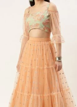 Skirt From Multicoloured N Peach Net Embroidered Lehenga After Six Wear