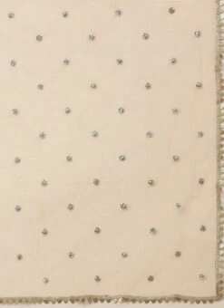 Dupatta From Multicoloured N Peach Net Embroidered Lehenga After Six Wear -C Bazaar Shop Multicoloured N Peach Net Embroidered Lehenga GHBS02211103 rrc3