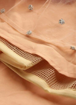 Dupatta From Multicoloured N Peach Net Embroidered Lehenga After Six Wear -C Bazaar Shop Multicoloured N Peach Net Embroidered Lehenga GHBS02211103 rrc4
