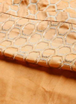 Peach Brocade Box Pleated Skirt Festive Wear -C Bazaar Shop Peach Brocade Box Pleated Skirt WBBS02012679 rrc3