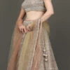 Peach N Gold Sequins Net Hand Work Umbrella Lehenga N Choli N Dupatta Wedding Wear