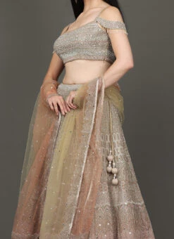 Peach N Gold Sequins Net Hand Work Umbrella Lehenga N Choli N Dupatta Wedding Wear