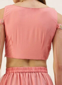 Skirt From Peach N Pink Net Embroidered Skirt Set After Six Wear -C Bazaar Shop Peach N Pink Net Embroidered Skirt Set IWBS02212524 rrc2