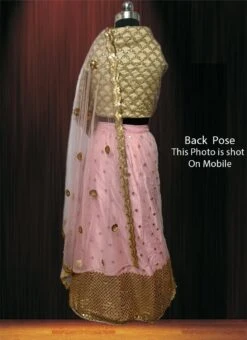 Pink Net Umbrella Lehenga Party Wear -C Bazaar Shop Pink Net Umbrella Lehenga GHSCC40824110 b