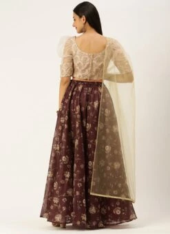 Pink Organza N Maroon Chanderi Lehenga Festive Wear 11 Pink Organza N Maroon Chanderi Lehenga Festive Wear -C Bazaar Shop Pink Organza N Maroon Chanderi Lehenga GHBS02206222 b 1