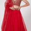 Red Organza Embroidered Umbrella Lehenga Party Wear