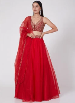 Red Organza Embroidered Umbrella Lehenga Party Wear 6 Red Organza Embroidered Umbrella Lehenga Party Wear -C Bazaar Shop Red Organza Embroidered Umbrella Lehenga GHDSVLC140 u