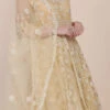Beige Net Embroidered Work Anarkali Suit Party Wear
