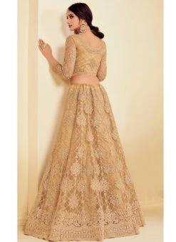 Beige Net Umbrella Lehenga For Partywear Party Wear -C Bazaar Shop beige net umbrella lehenga for partywear ghsaj1004e b