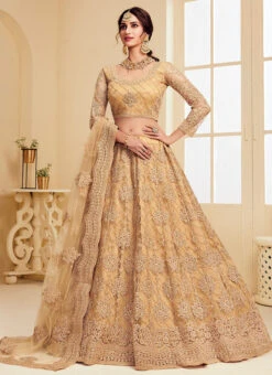 Beige Net Umbrella Lehenga For Partywear Party Wear -C Bazaar Shop beige net umbrella lehenga for partywear ghsaj1004e u