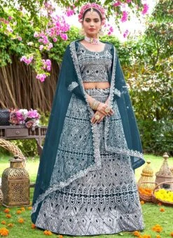 Blue Net Embroidered A Line Lehenga Party Wear -C Bazaar Shop blue net embroidered a line lehenga ghska468119004 u