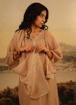 Chikku Brown Chanderi Silk Embroidered Dupatta Party Wear -C Bazaar Shop chikku brown chanderi silk embroidered dupatta dpbadcssfch01 b