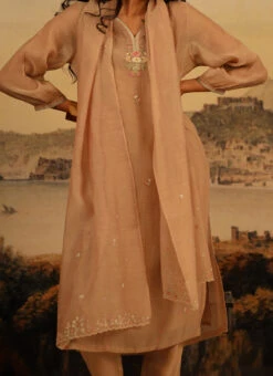 Chikku Brown Chanderi Silk Embroidered Dupatta Party Wear