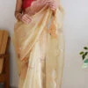 Cut Work With Khatli Work Beige Color Organza Saree Party Wear