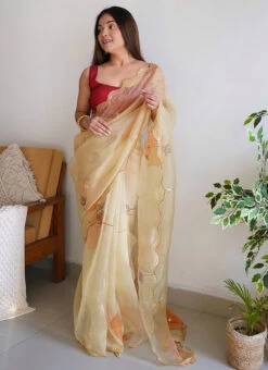 Cut Work With Khatli Work Beige Color Organza Saree Party Wear 6 Cut Work With Khatli Work Beige Color Organza Saree Party Wear -C Bazaar Shop cut work with khatli work beige color organza saree sasacw4243 u