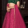 Dark Pink Net Embroidered Umbrella Lehenga Party Wear
