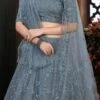 Dove Grey Net Thread Embroidery Umbrella Lehenga Party Wear