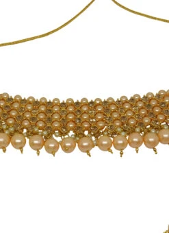 Gold Alloy Choker Set With Earrings Party Wear