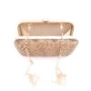 Golden Silk Sequins Clutch