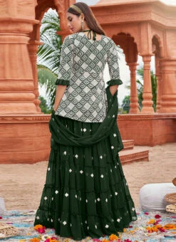 Green Georgettte Embroidered A Line Lehenga Festive Wear -C Bazaar Shop green georgettte embroidered a line lehenga ghska43441107 b